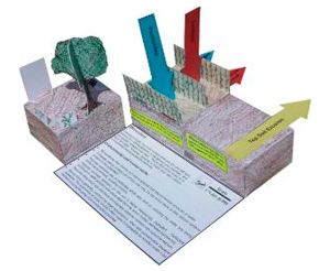 Degradación ambiental de Geoblox